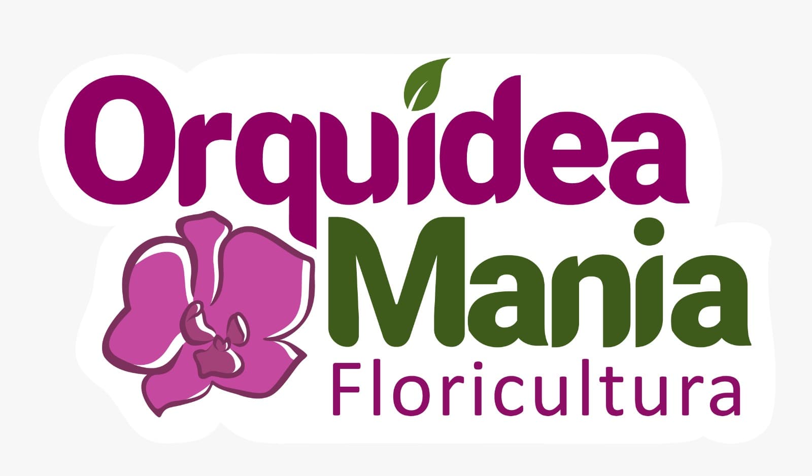 Orquídea Mania